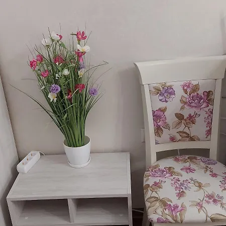 студио прованс лариса Apartamento *